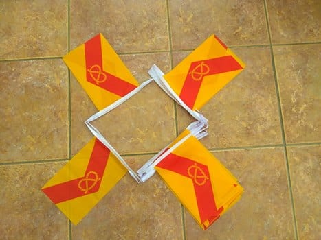 Staffordhsire Bunting - 6 metres