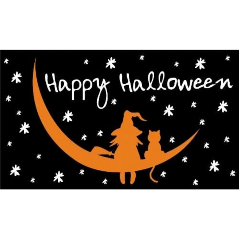 Halloween Witch and Cat 5ft x 3ft flag