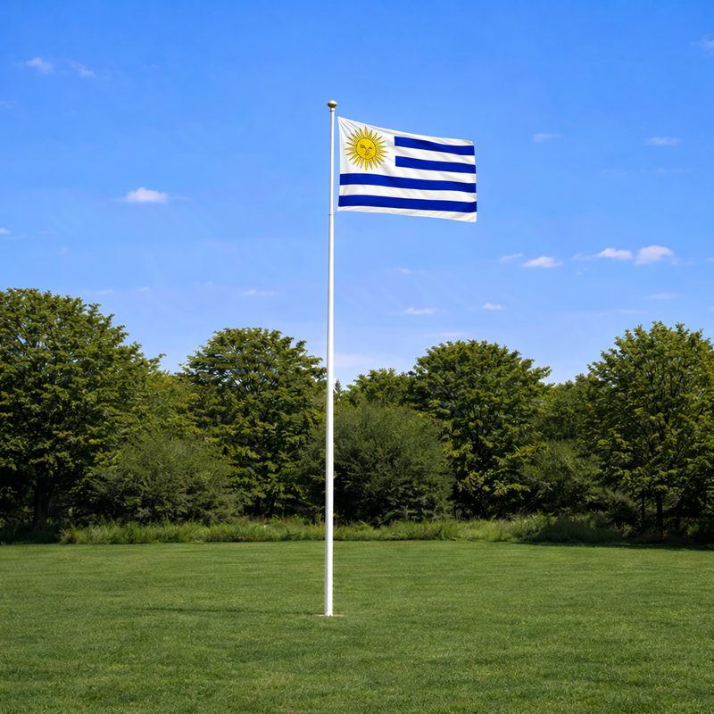 Uruguay Supporter Flagpole Kit