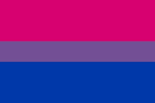 Hello Bi Flag Bisexual Flag (LGBTQ+ Pride) | Flags and Flagpoles – Bunting Warehouse
