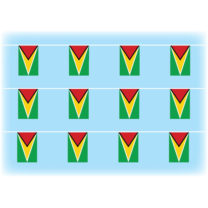 Guyana flag bunting