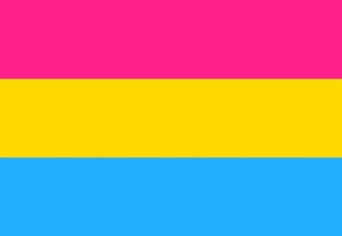 Pansexual Flag (LGBTQ+ Pride)