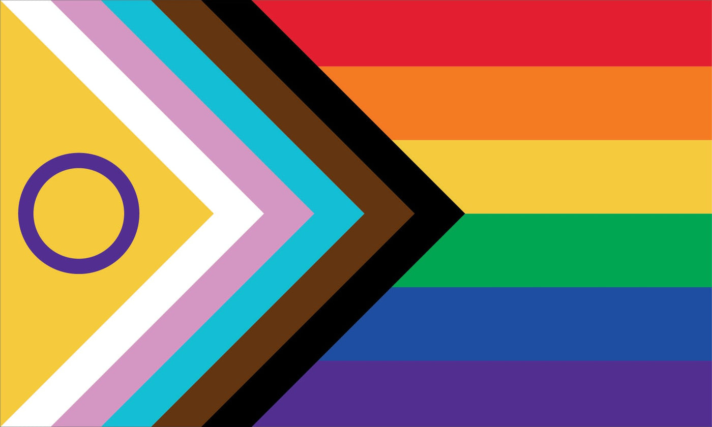 Progress Pride Flag Lgbtq Pride Flags And Flagpoles Bunting Warehouse 1636