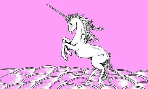Pink Unicorn Flag (LGBTQ+ Pride)