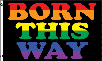 Born This Way Flag (LGBTQ+ Pride)