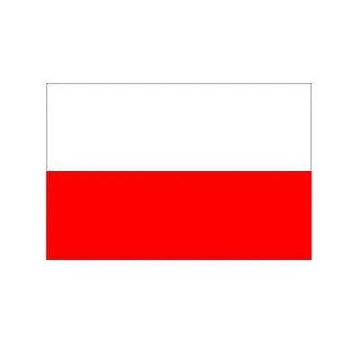 Poland Bunting