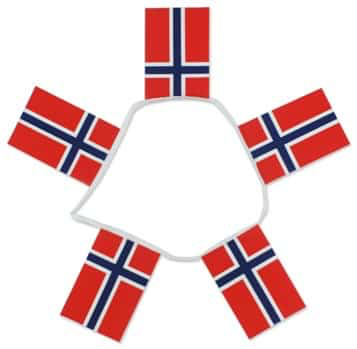 6m 20 Flag Norway Bunting
