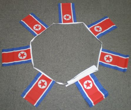 6m 20 Flag North Korea Bunting