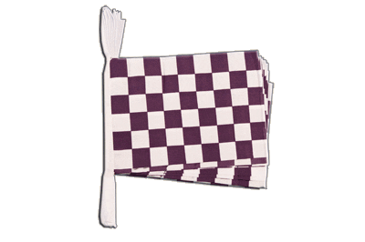 6m 20 Flag Purple/White Checkered Bunting