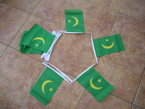 6m 20 Flag Mauritania Bunting