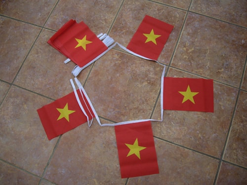 Vietnam Bunting - 6 metres