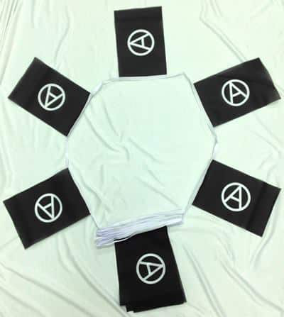 Anarchy Bunting - 6 metres