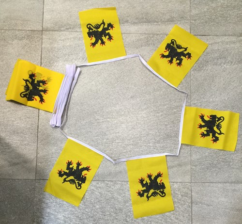 6m 20 Flag Nord Pas De Calais Bunting