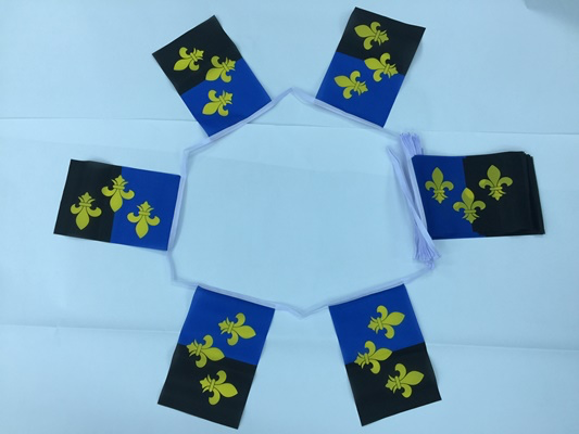 6m 20 Flag Monmouthshire Bunting