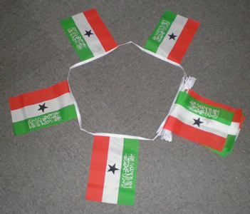 6m 20 Flag Somaliland Bunting