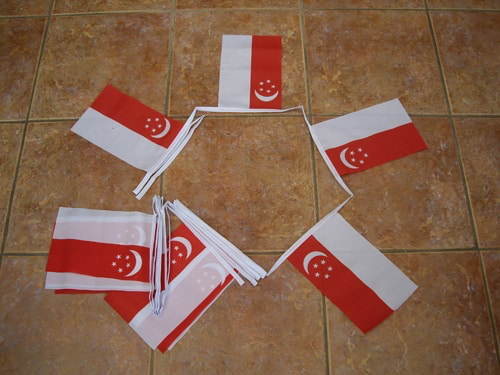 6m 20 Flag Singapore Bunting